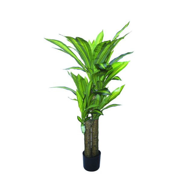 Veštačko drvo Dracena Fragrans(drvo života)100cm u plastičnoj saksiji