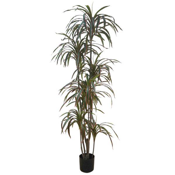 Veštačko drvo Dracena Marginata 215cm u plastičnoj saksiji