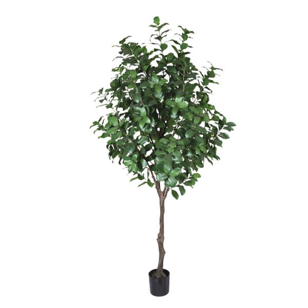 Veštačko drvo lovora 220cm u plastičnoj saksiji