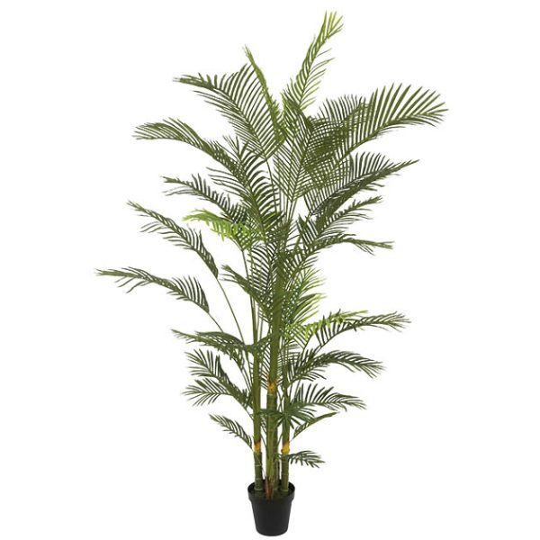 Veštačko drvo palma kentia 240cm u plastičnoj saksiji