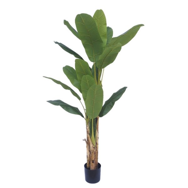 Veštačko drvo banana 190cm u plastičnoj saksiji