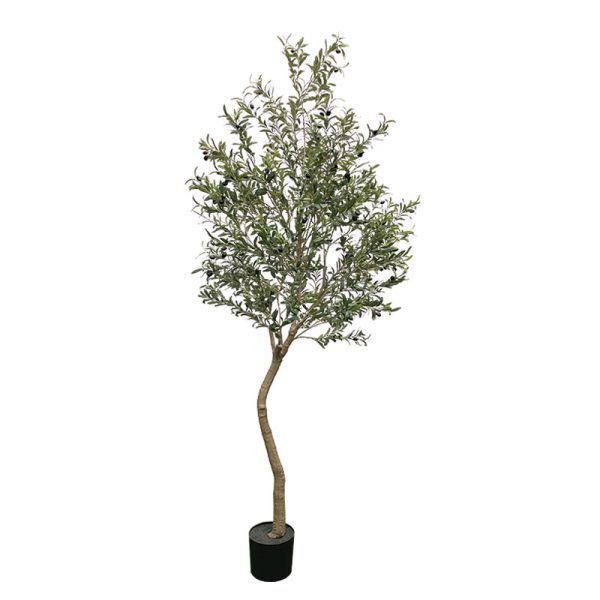 Veštačko drvo masline  240cm u plastičnoj saksiji