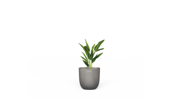 12-4433343 Saksija fiberglas TISA 43