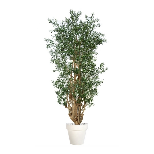 53-1085024 Polu-veštačko drvo MASLINA MALABAR 250cm