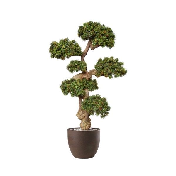 53-5639006 Polu-veštačko drvo BOXWOOD Mini Pom Pom 190cm